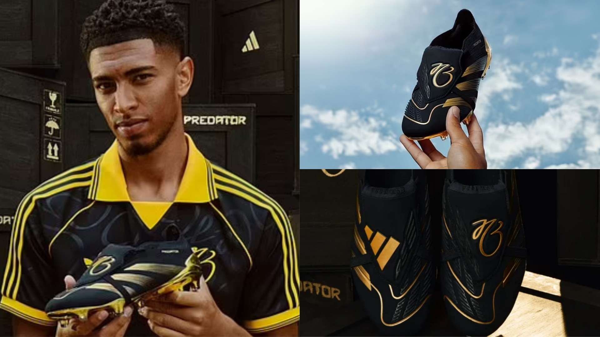 这可能会将 这可能会将