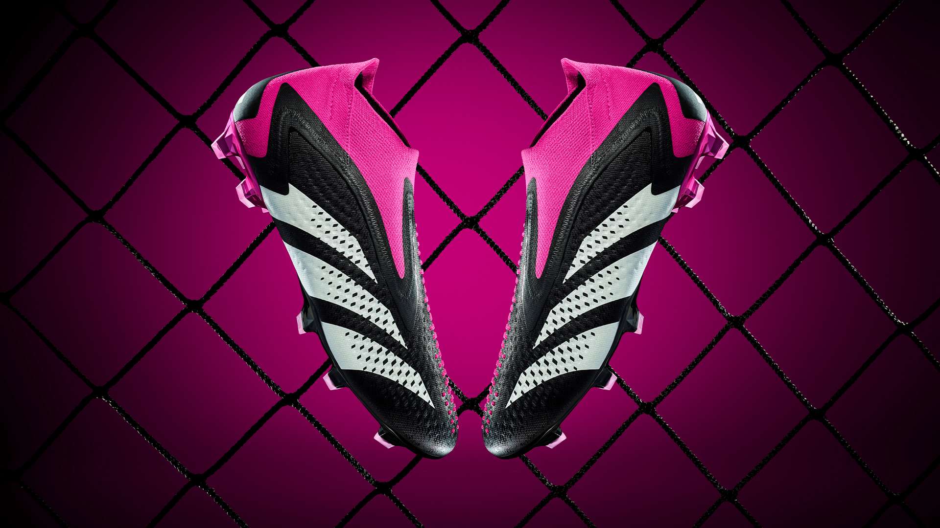 乐部纷纷通 乐部纷纷通