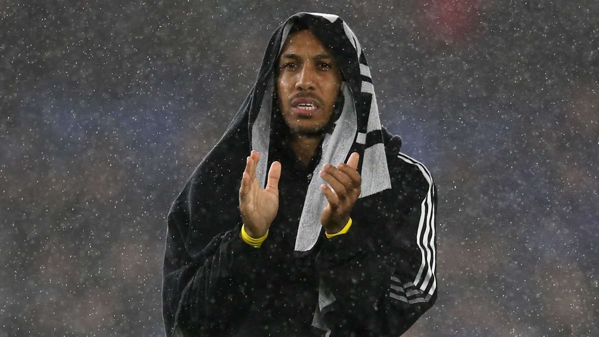 吴艳妮的 吴艳妮的