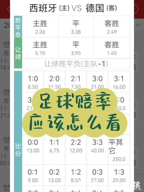 世界杯投注:赔率波动中的潜在机会探秘 世界杯投注:赔率波动中的潜在机会探秘